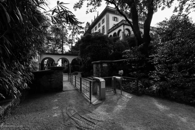 © Alberto Canepa, Mendrisio