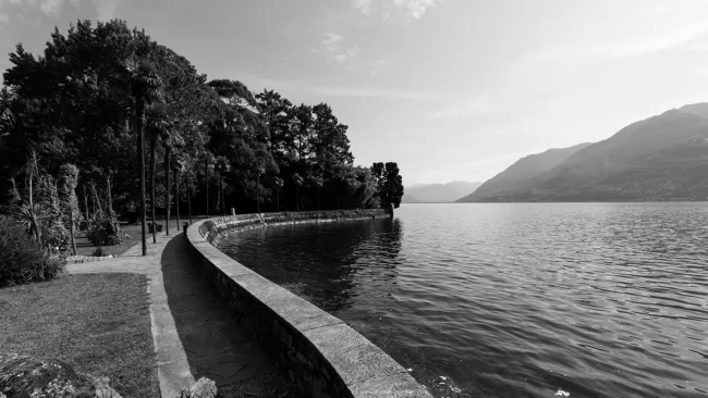 © Alberto Canepa, Mendrisio