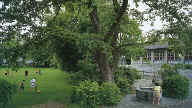 Die Schule Entlisberg in Zürich-Wollishofen wurde 1947 von den Architekten. Kräher & Bosshard und dem Land- schaftsarchitekten Gustav Ammann entworfen und realisiert.