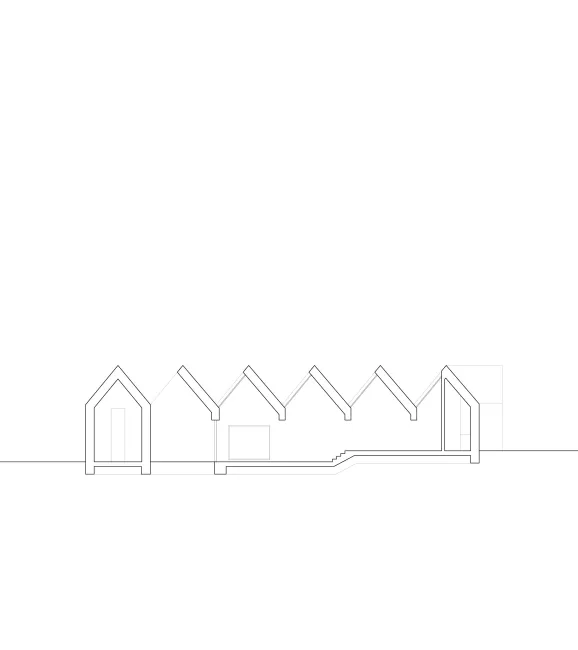 Longitudinal Section