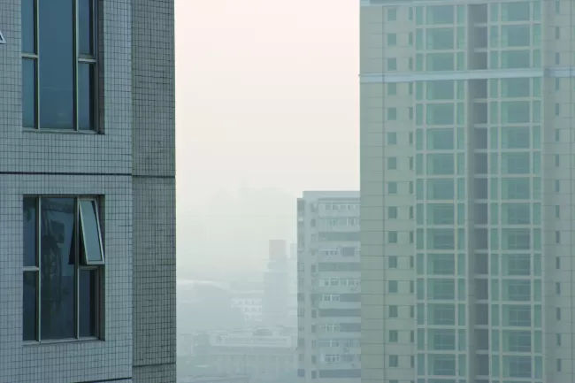 Day 21: The view out of the window of Berlin-Marzahn in November. Exterior temperature, 39 degrees.