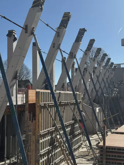 Stützen in der Turnhalle, März 2026, Foto: E2A